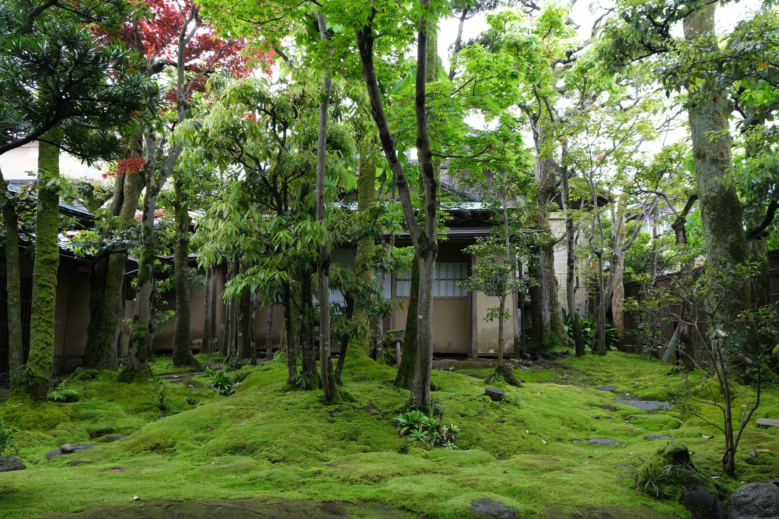 dscf3310.jpg